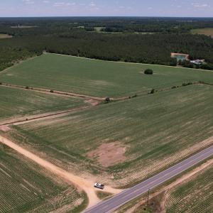 Photo #3 of SOLD property in Off Shannon Road, Shannon, NC 51.9 acres