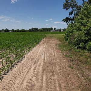 Photo #5 of SOLD property in Off Shannon Road, Shannon, NC 51.9 acres