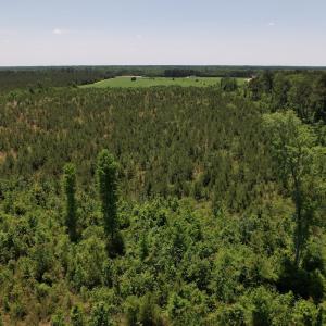 Photo #8 of SOLD property in Off Shannon Road, Shannon, NC 51.9 acres