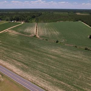 Photo #21 of SOLD property in Off Shannon Road, Shannon, NC 51.9 acres