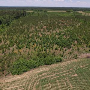 Photo #22 of SOLD property in Off Shannon Road, Shannon, NC 51.9 acres