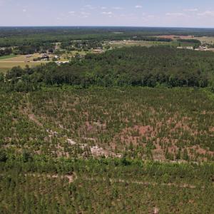 Photo #24 of SOLD property in Off Shannon Road, Shannon, NC 51.9 acres