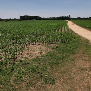 Photo #37 of SOLD property in Off Shannon Road, Shannon, NC 51.9 acres
