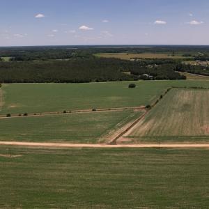 Photo #38 of SOLD property in Off Shannon Road, Shannon, NC 51.9 acres