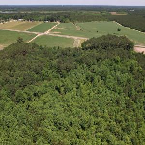 Photo #11 of SOLD property in Off Fodiesville Road, Shannon, NC 9.6 acres
