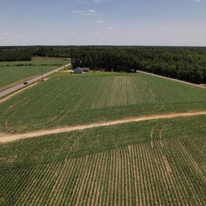 Photo #13 of SOLD property in Off Fodiesville Road, Shannon, NC 9.6 acres
