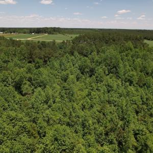 Photo #14 of SOLD property in Off Fodiesville Road, Shannon, NC 9.6 acres