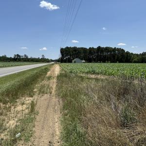 Photo #15 of SOLD property in Off Fodiesville Road, Shannon, NC 9.6 acres