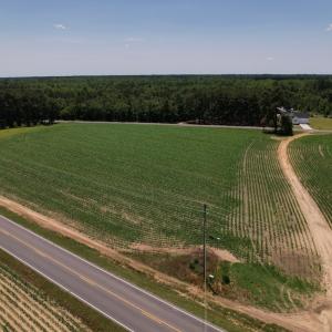 Photo #16 of SOLD property in Off Fodiesville Road, Shannon, NC 9.6 acres