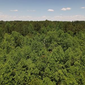 Photo #18 of SOLD property in Off Fodiesville Road, Shannon, NC 9.6 acres