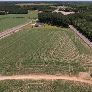 Photo #4 of SOLD property in Off Fodiesville Road, Shannon, NC 9.6 acres