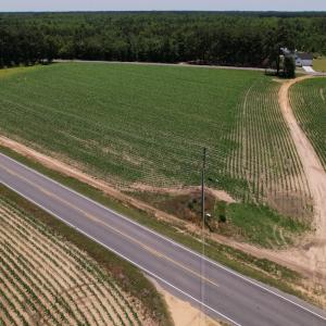 Photo #5 of SOLD property in Off Fodiesville Road, Shannon, NC 9.6 acres
