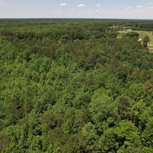 Photo #6 of SOLD property in Off Fodiesville Road, Shannon, NC 9.6 acres