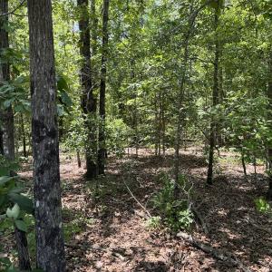 Photo #7 of SOLD property in Off Fodiesville Road, Shannon, NC 9.6 acres