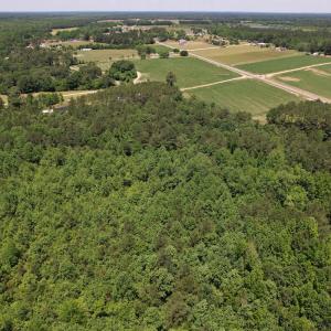 Photo #8 of SOLD property in Off Fodiesville Road, Shannon, NC 9.6 acres