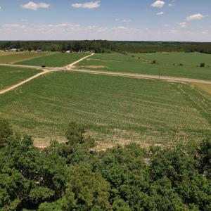 Photo #21 of SOLD property in Off Fodiesville Road, Shannon, NC 9.6 acres