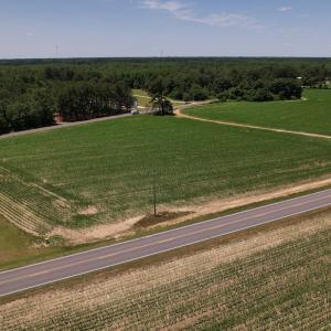 Photo #23 of SOLD property in Off Fodiesville Road, Shannon, NC 9.6 acres