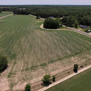 Photo #10 of SOLD property in Off Fodiesville Road, Shannon, NC 4.8 acres