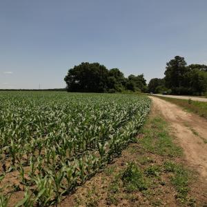 Photo #11 of SOLD property in Off Fodiesville Road, Shannon, NC 4.8 acres