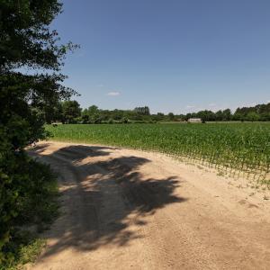 Photo #17 of SOLD property in Off Fodiesville Road, Shannon, NC 4.8 acres