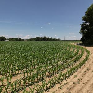 Photo #18 of SOLD property in Off Fodiesville Road, Shannon, NC 4.8 acres