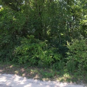 Photo #19 of SOLD property in Off Fodiesville Road, Shannon, NC 4.8 acres