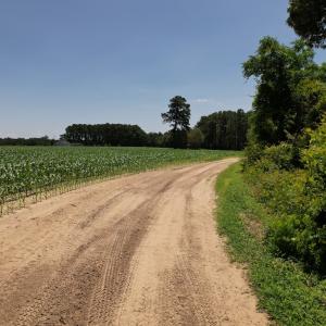 Photo #20 of SOLD property in Off Fodiesville Road, Shannon, NC 4.8 acres