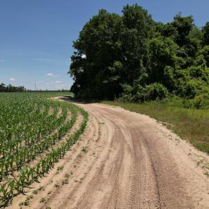 Photo #4 of SOLD property in Off Fodiesville Road, Shannon, NC 4.8 acres