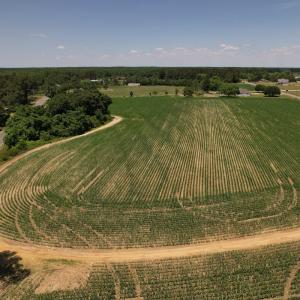 Photo #21 of SOLD property in Off Fodiesville Road, Shannon, NC 4.8 acres