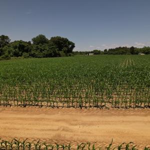 Photo #22 of SOLD property in Off Fodiesville Road, Shannon, NC 4.8 acres