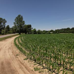 Photo #24 of SOLD property in Off Fodiesville Road, Shannon, NC 4.8 acres