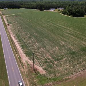 Photo #2 of SOLD property in Off Shannon Road, Shannon, NC 3.5 acres