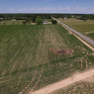 Photo #12 of SOLD property in Off Shannon Road, Shannon, NC 3.5 acres