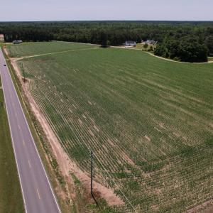 Photo #14 of SOLD property in Off Shannon Road, Shannon, NC 3.5 acres