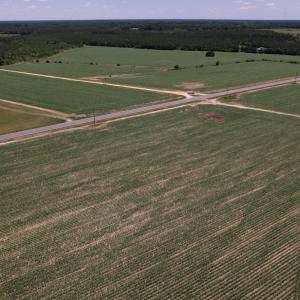 Photo #15 of SOLD property in Off Shannon Road, Shannon, NC 3.5 acres