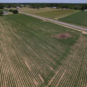 Photo #20 of SOLD property in Off Shannon Road, Shannon, NC 3.5 acres
