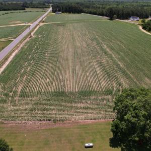 Photo #21 of SOLD property in Off Shannon Road, Shannon, NC 3.5 acres