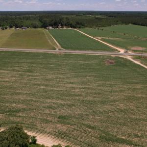 Photo #25 of SOLD property in Off Shannon Road, Shannon, NC 3.5 acres