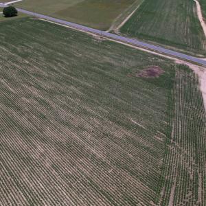 Photo #27 of SOLD property in Off Shannon Road, Shannon, NC 3.5 acres
