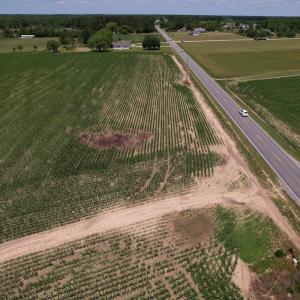 Photo #4 of SOLD property in Off Shannon Road, Shannon, NC 3.5 acres