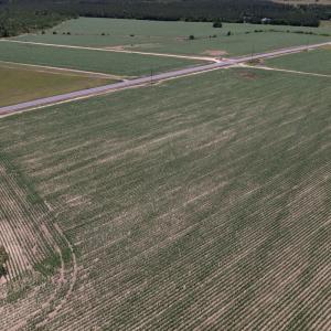 Photo #6 of SOLD property in Off Shannon Road, Shannon, NC 3.5 acres