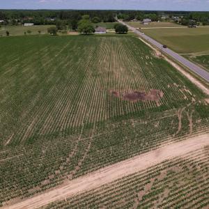 Photo #7 of SOLD property in Off Shannon Road, Shannon, NC 3.5 acres