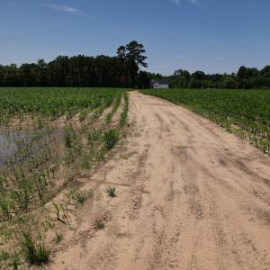 Photo #8 of SOLD property in Off Shannon Road, Shannon, NC 3.5 acres