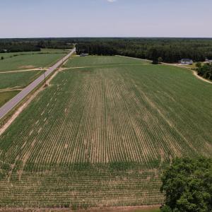 Photo #9 of SOLD property in Off Shannon Road, Shannon, NC 3.5 acres