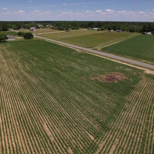 Photo #10 of SOLD property in Off Shannon Road, Shannon, NC 3.5 acres