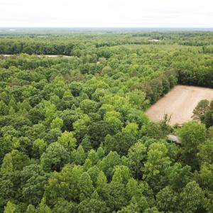 Photo #2 of 368 Greenbriar Rd, Walkerton, VA 9.5 acres