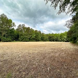 Photo #3 of 368 Greenbriar Rd, Walkerton, VA 9.5 acres