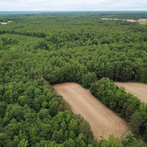 Photo #5 of 368 Greenbriar Rd, Walkerton, VA 9.5 acres