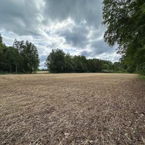 Photo #10 of 368 Greenbriar Rd, Walkerton, VA 9.5 acres