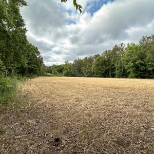 Photo #20 of 368 Greenbriar Rd, Walkerton, VA 9.5 acres